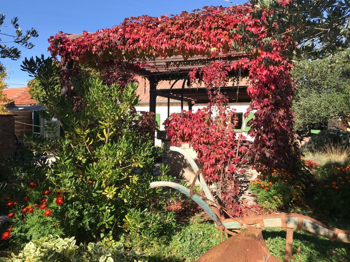 Villa Rural House Mudrinic "Ivini Dvori" Bogatić Exterior foto